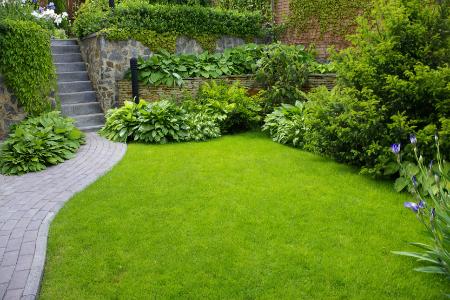 Do You Need Professional Landscaping Care in Orlando? Thumbnail