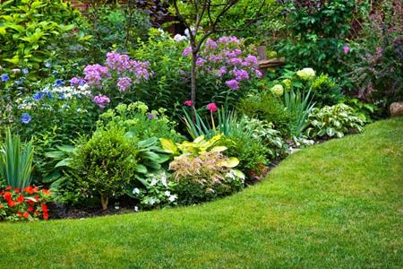 Orlando Homeowner's Guide to Landscape Design Thumbnail