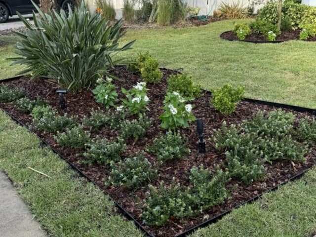 Landscaped Orlando Lawn