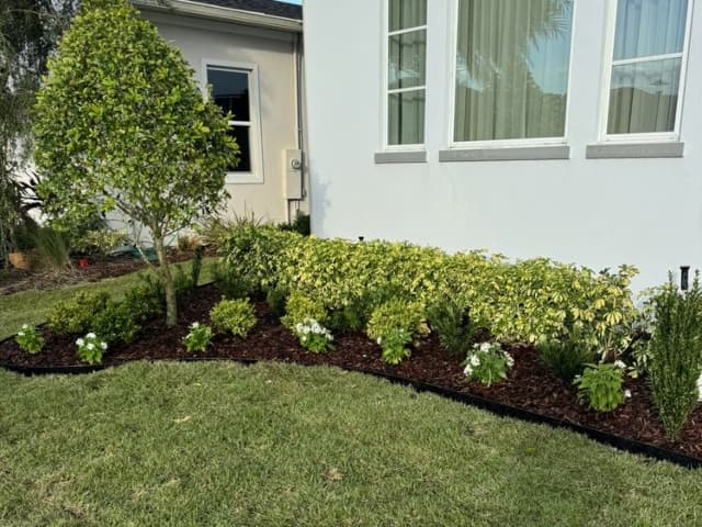 Landscaped Lawn
