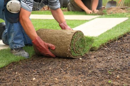 Sod Removal & Installation Thumbnail
